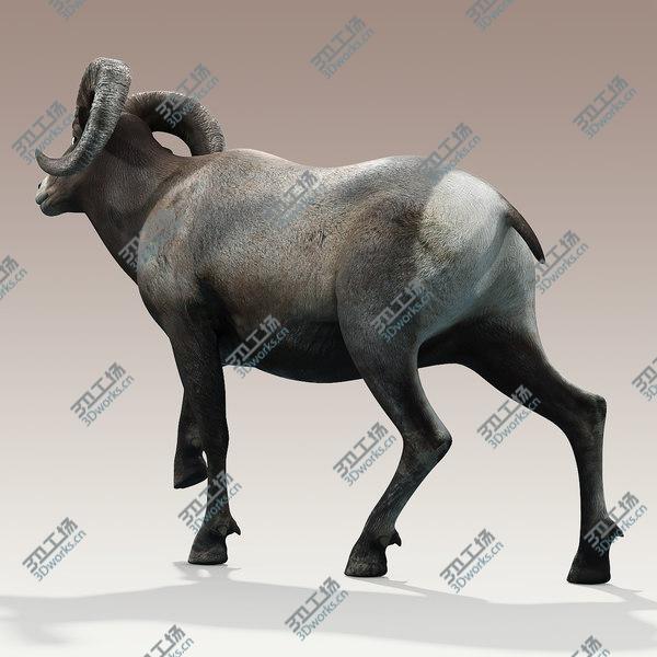 images/goods_img/20210312/Bighorn sheep(RIGGED)/5.jpg